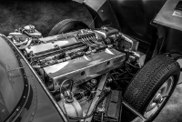 Motor, Jaguar D-Type Short Nose, XKD 515, 1955