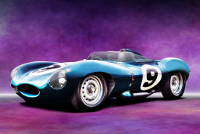 Portrait, Jaguar D-Type Short Nose, XKD 515, 1955